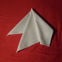 French Napkin Fold