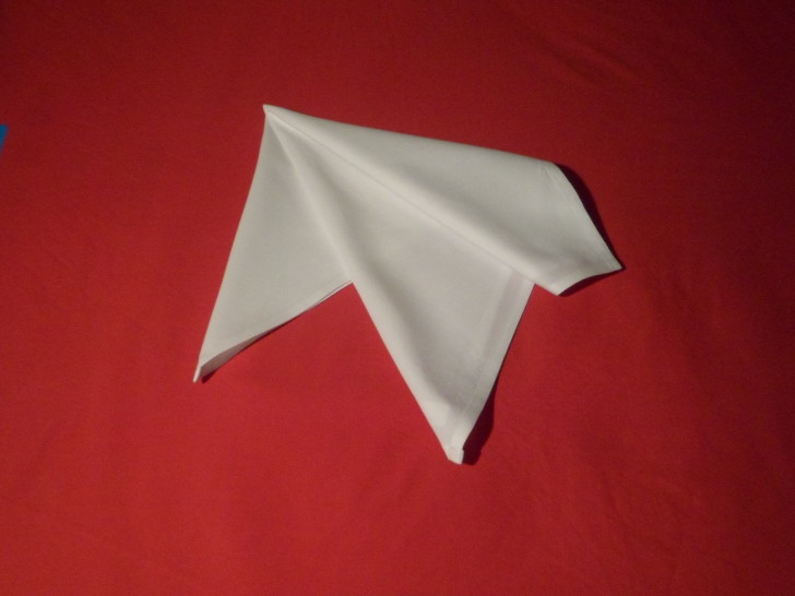 French Fold Folding Napkins