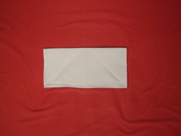 Napkin Folding Instructions The Sail Fold Step fold the napkin in half on a horizontal axis 