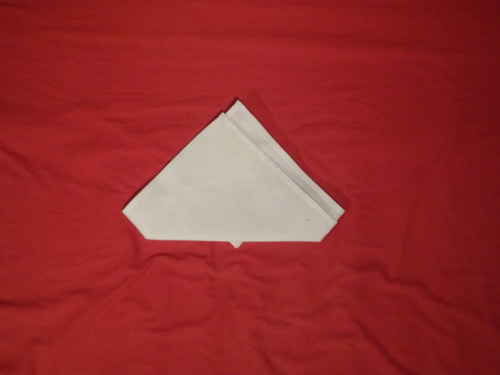 How To Fold Napkins The Crown Fold Step Seven flip the napkin over