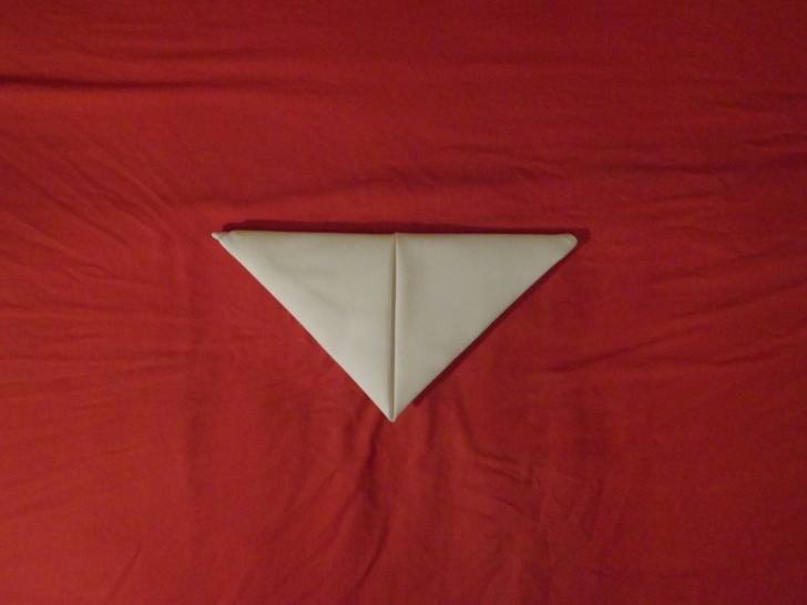 Folded Napkin Pyramid Fold Step Seven fold the napkin in half along a horizontal axis creating a small triangle that's pointing towards you.