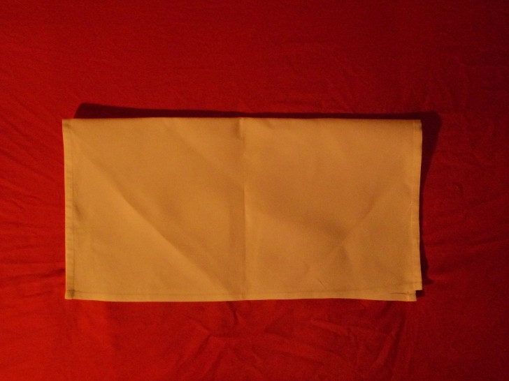 Napkin Origami The Diamond Fold Step Two Fold the napkin in half on a horizontal axis towards yourself 