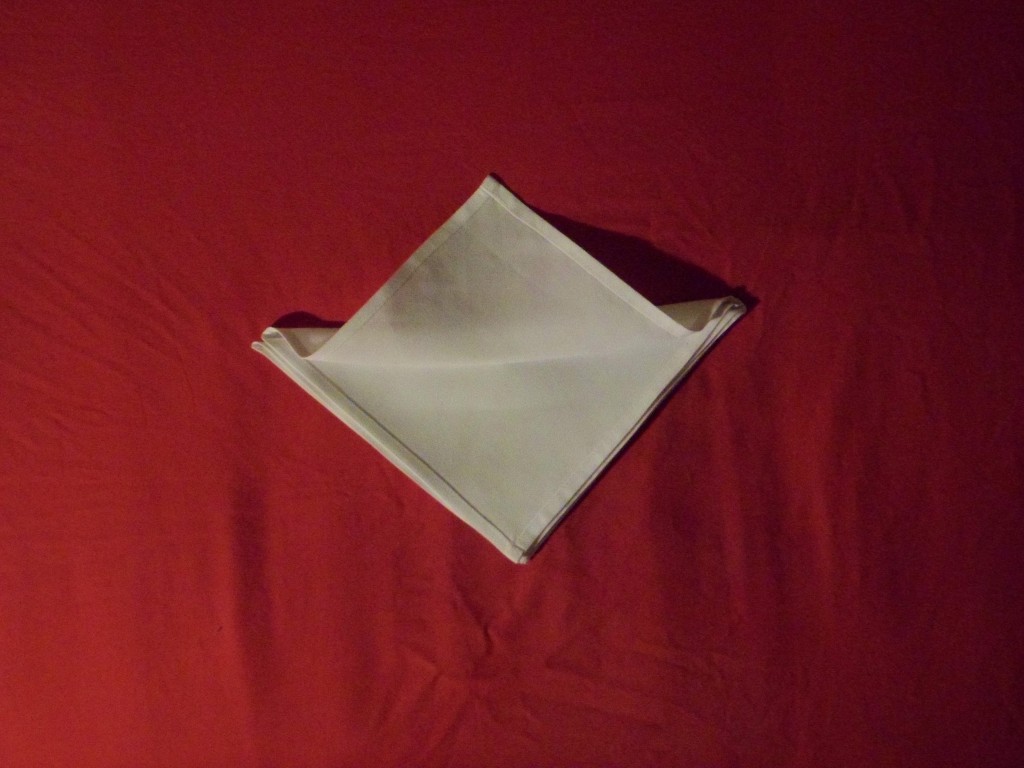 slide napkin fold step 6