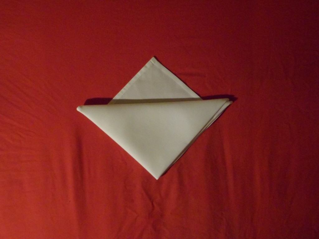 slide napkin fold step 7