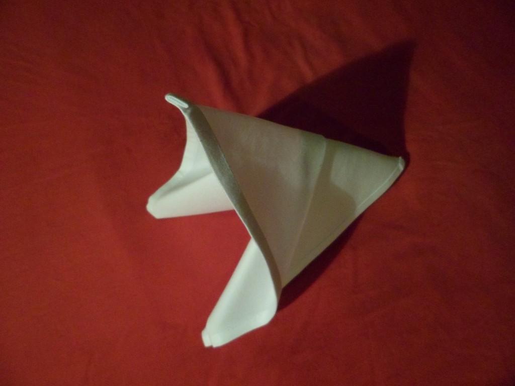 slide napkin fold