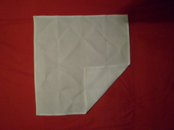 Napkin Folding Rose Fold Step two fold the bottom right corner up in to the centre