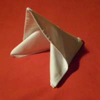 The slide napkin fold