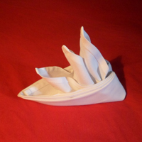 how to fold napkins - bird of paradise napkin fold finished version 