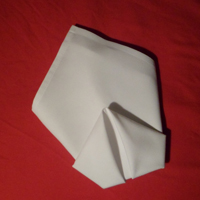 cone napkin fold